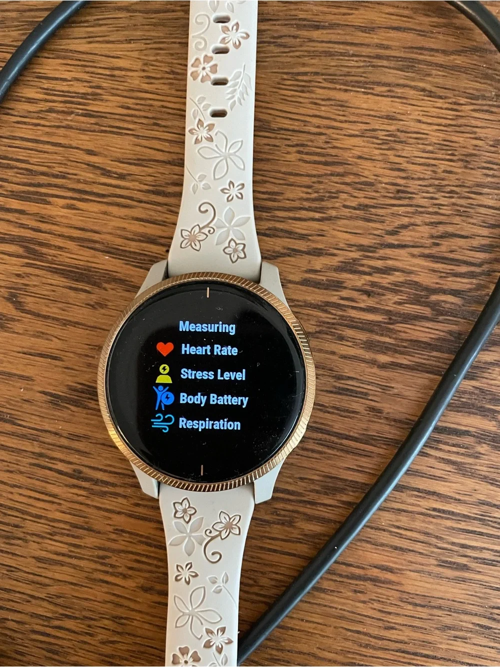 Garmin Venu 2 Rose Gold smartwatch